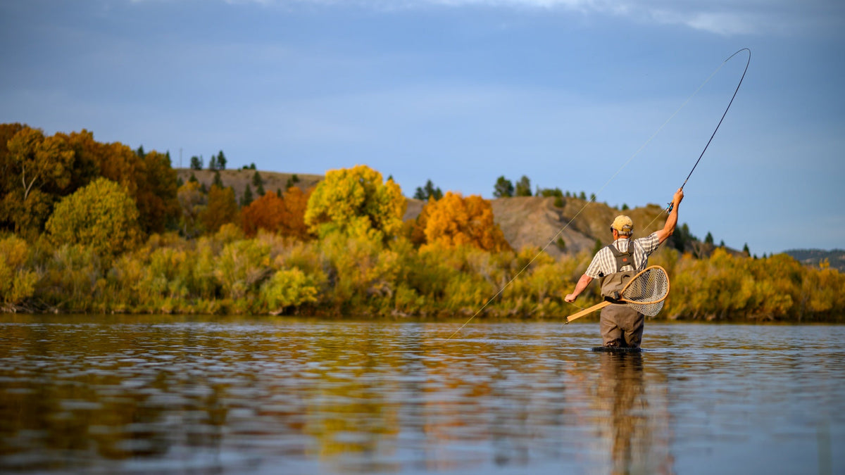 Fly Fisherman with a Fish on the Line
