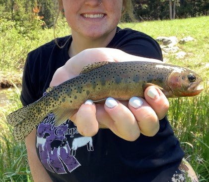 Madelynn Pandis holds up a juvenile cutthroat trout while fly fishing.