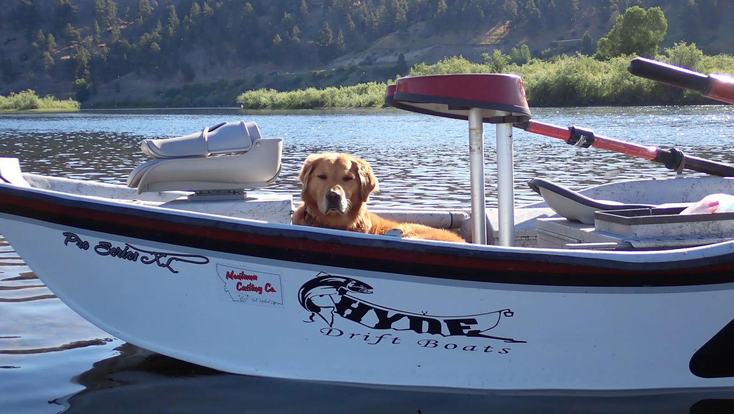 Golden Retriever Waiting in a Drift Boat on the Missouri