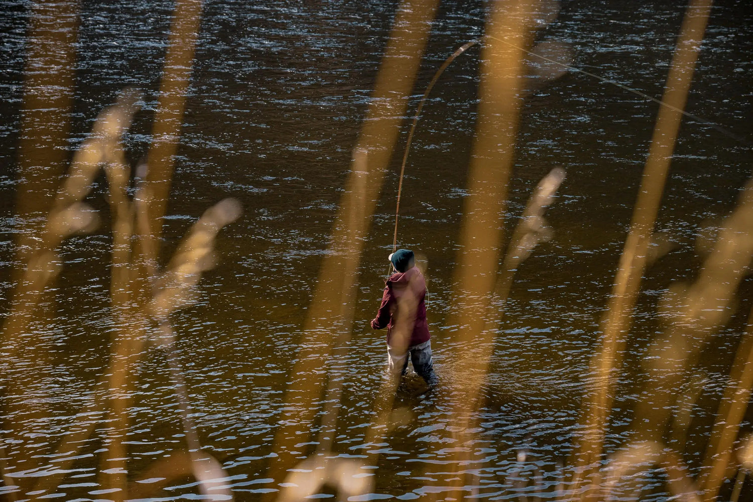 Fly Fishing the Missouri in October