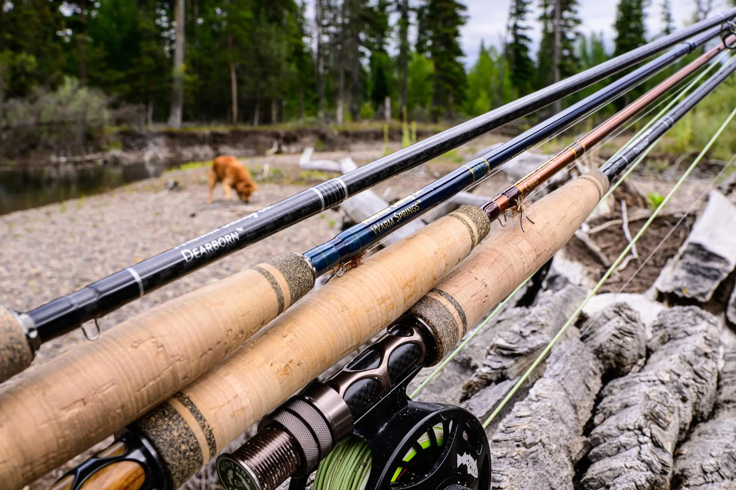 Fly Fishing Rods Closeup Picture with Dog in Background
