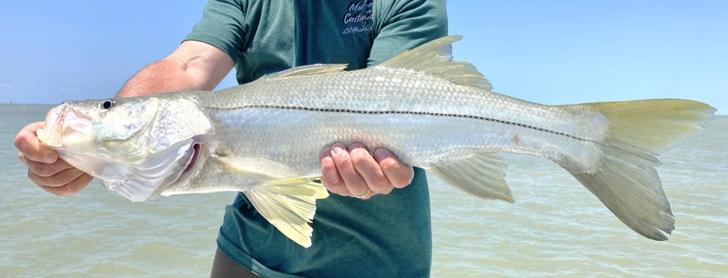 Snook Caught with a Fly Rod Combo