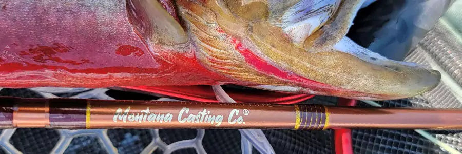 Craig Fly Rod with West Slope Cutthroat Trout
