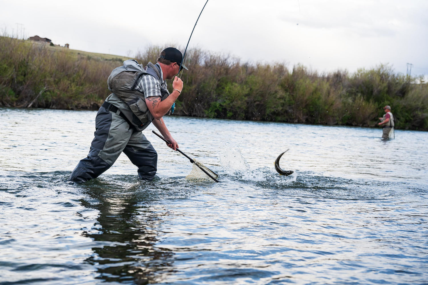 Man with a Fly Rod Netting a Trout