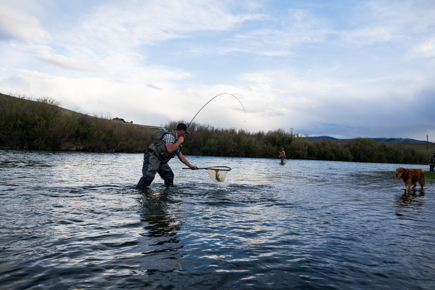 Person netting a fish caught on his fly rod