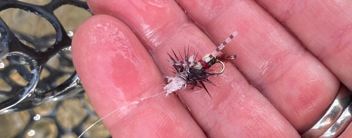 Dry Fly Displayed on Hand