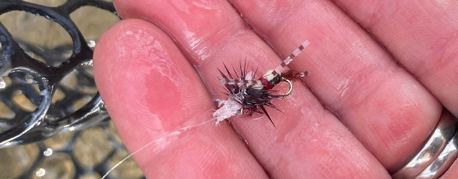 Fly Fish Much? What to do if you “Get Hooked Up”