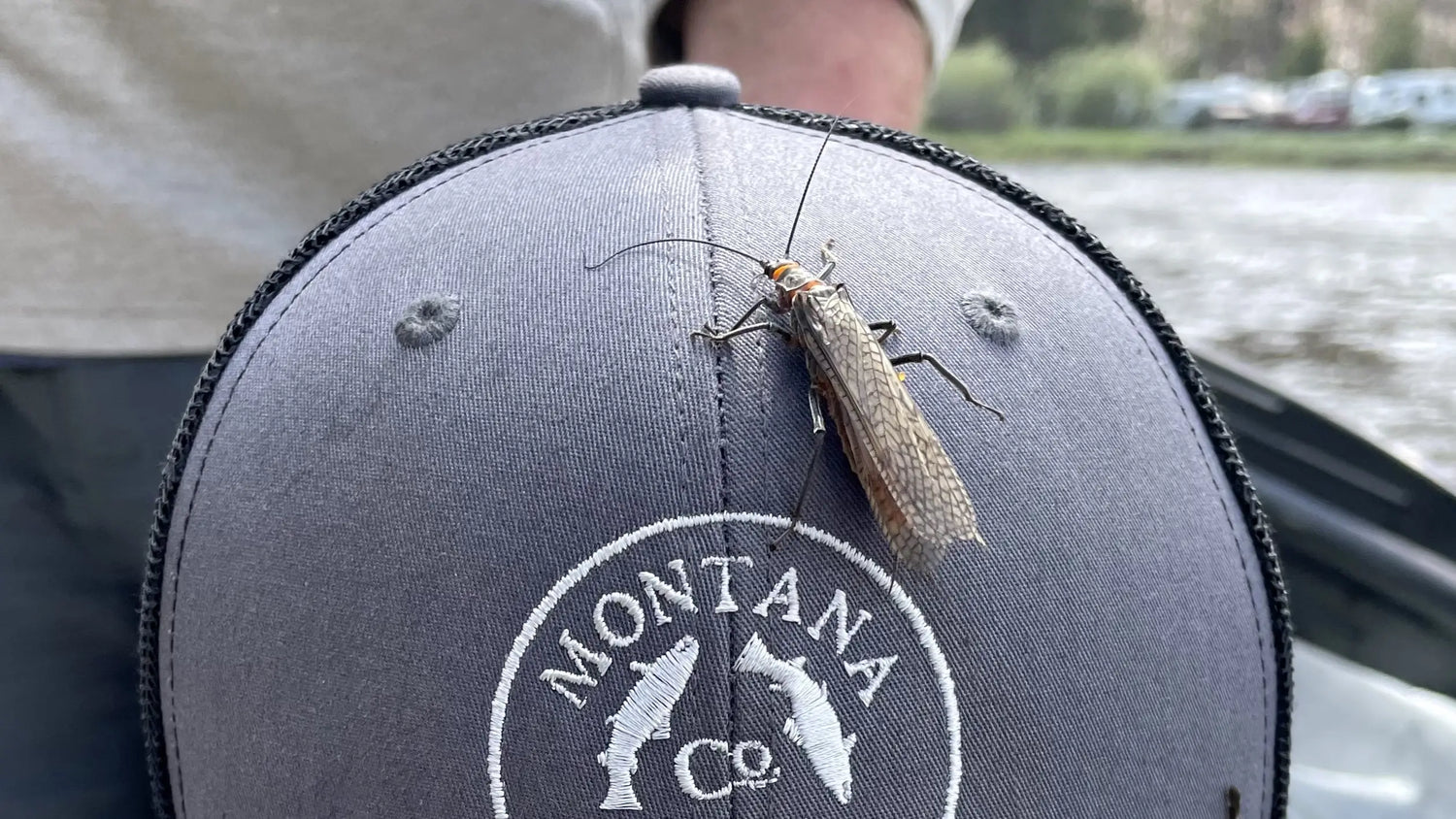 salmon-fly-on-montana-casting-co-baseball-hat