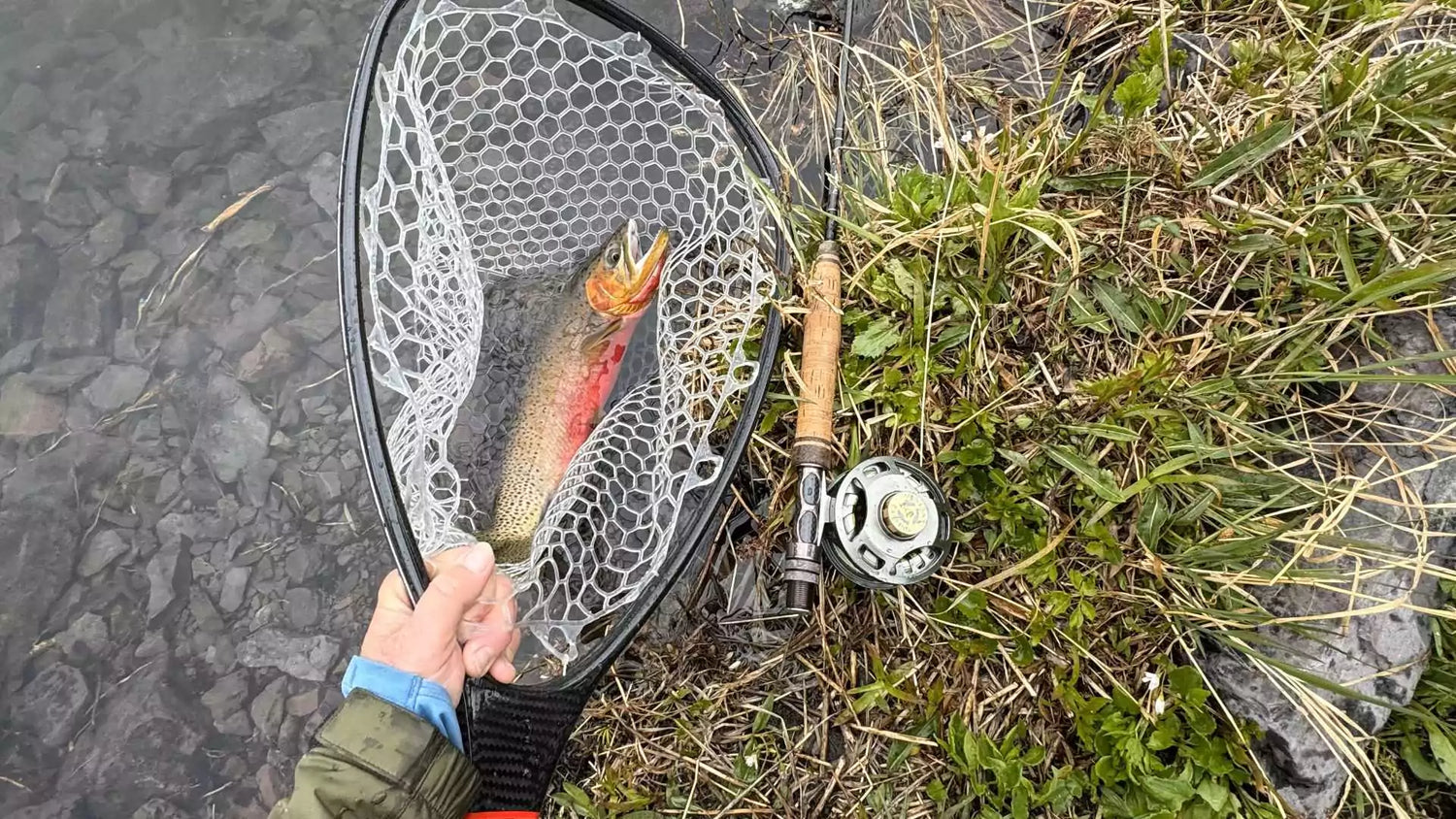 Dearborn Fly Rod in Grass Next to Fish