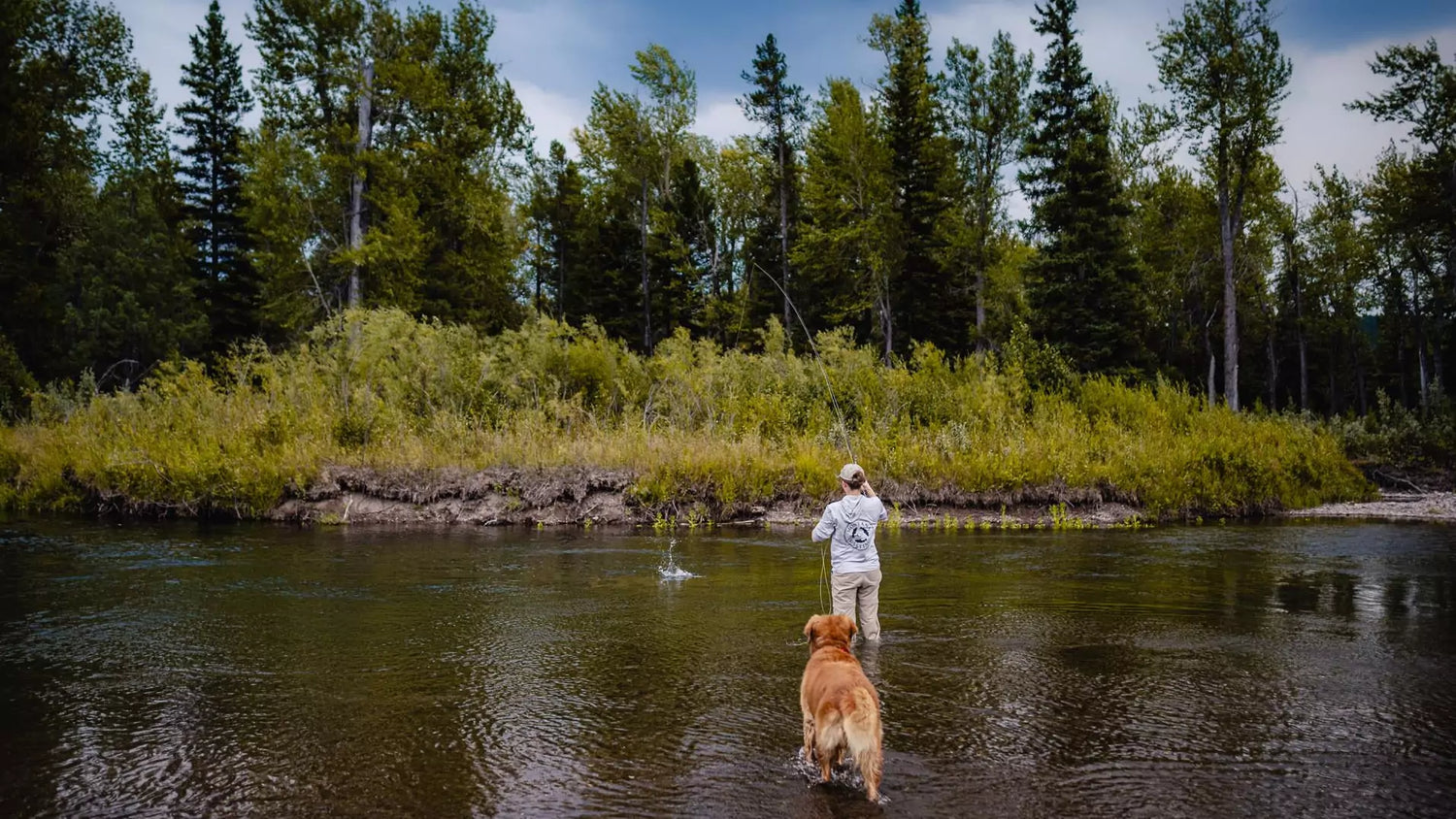 Fishing a Small Stream with the Best Fly Rod