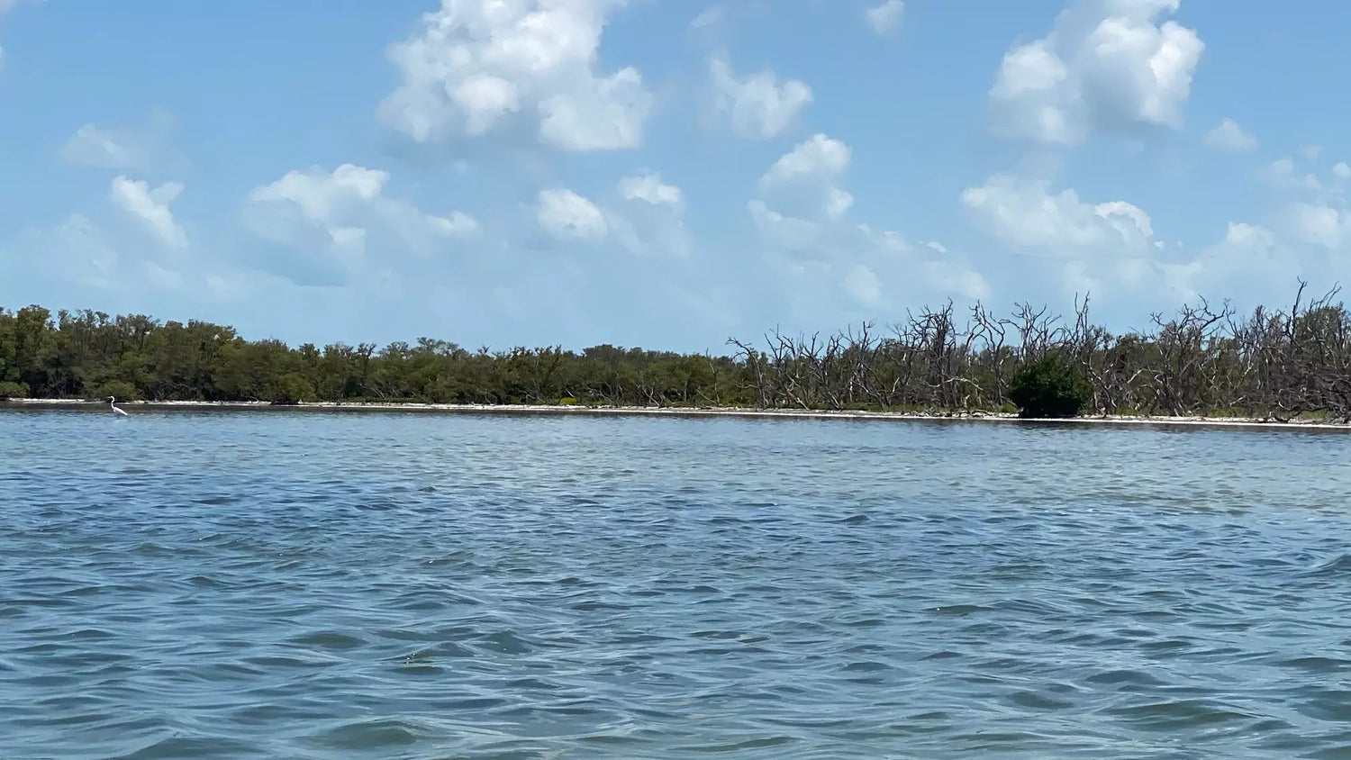 The Saltwater Flats - Fly Fishing for Permit