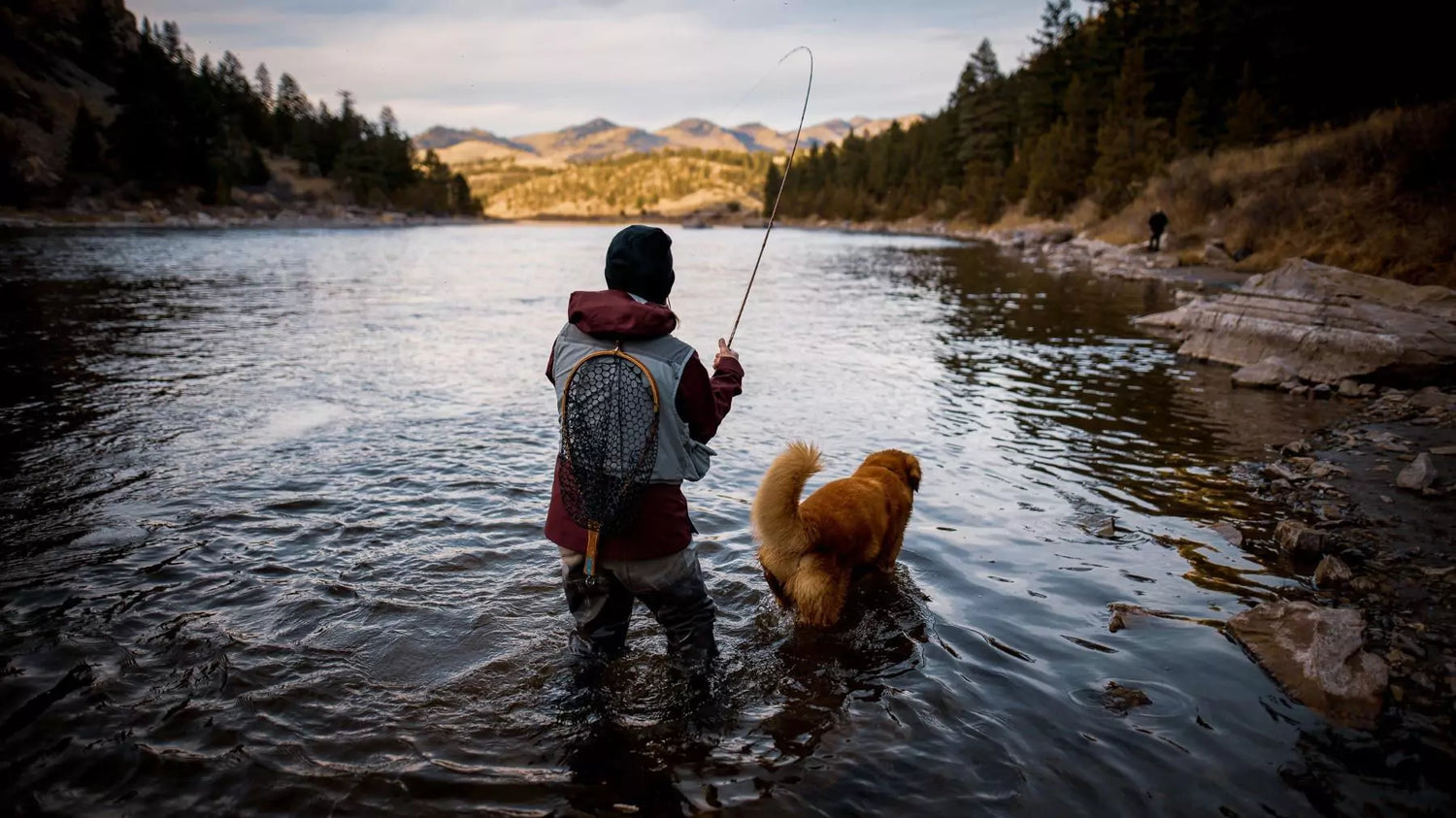 Craig Fly Rod Being Used on a River with Golden Retriever