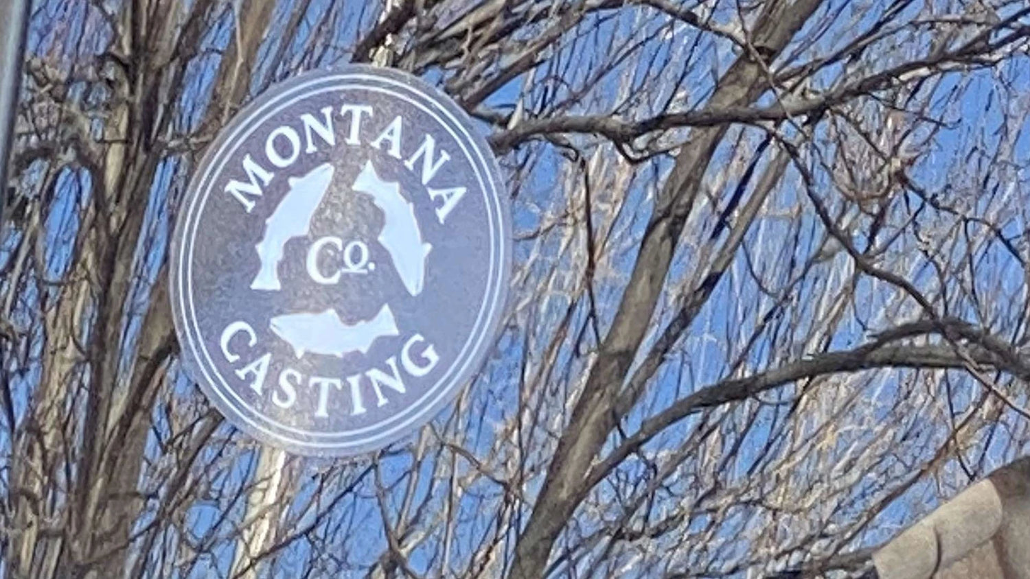 Logo Decal on Window with Reflection of Trees