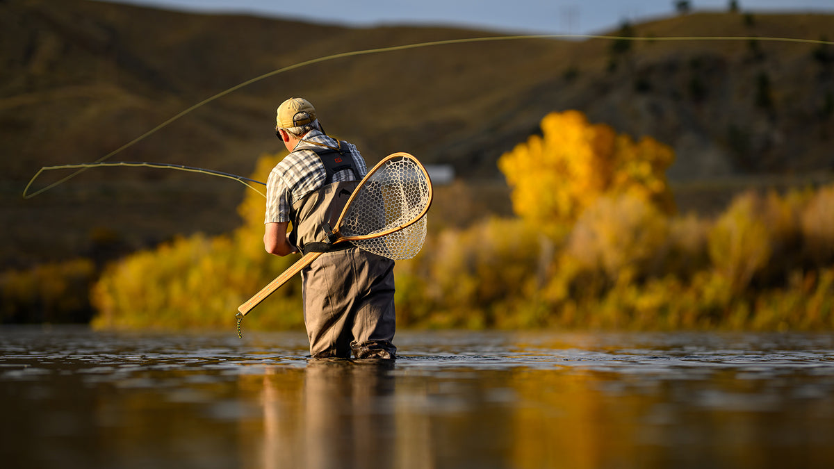Fly fisherman casting a rod on a river with fall colors