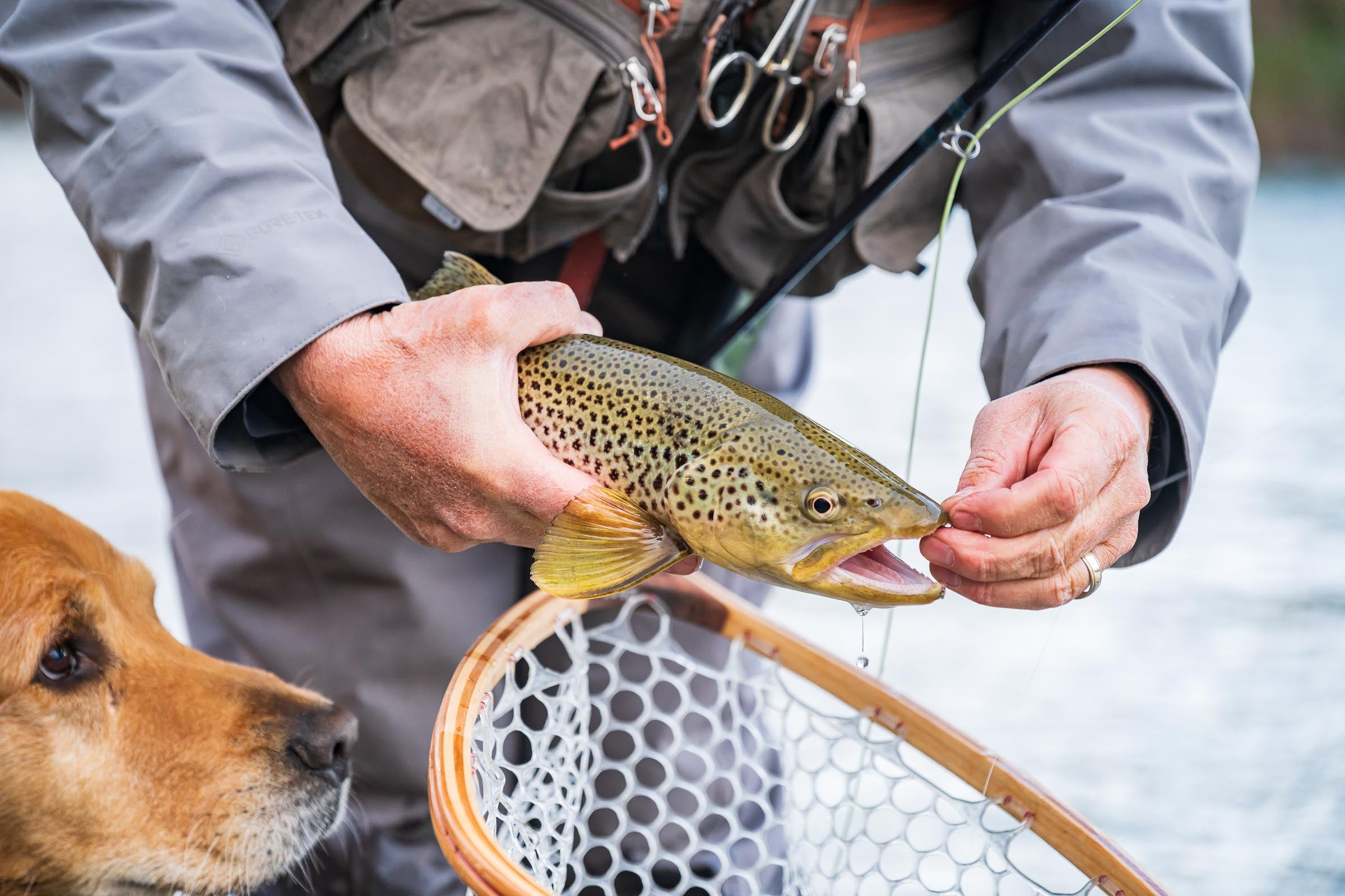Fly Fishing Tips and Tricks – Montana Casting Co.
