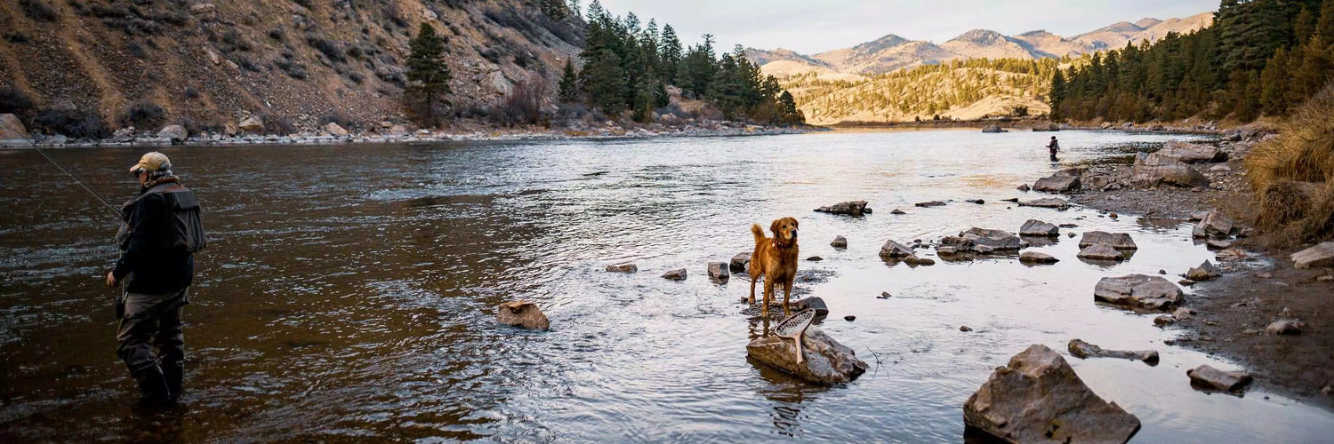 Fly Fishing with a Dog on the River