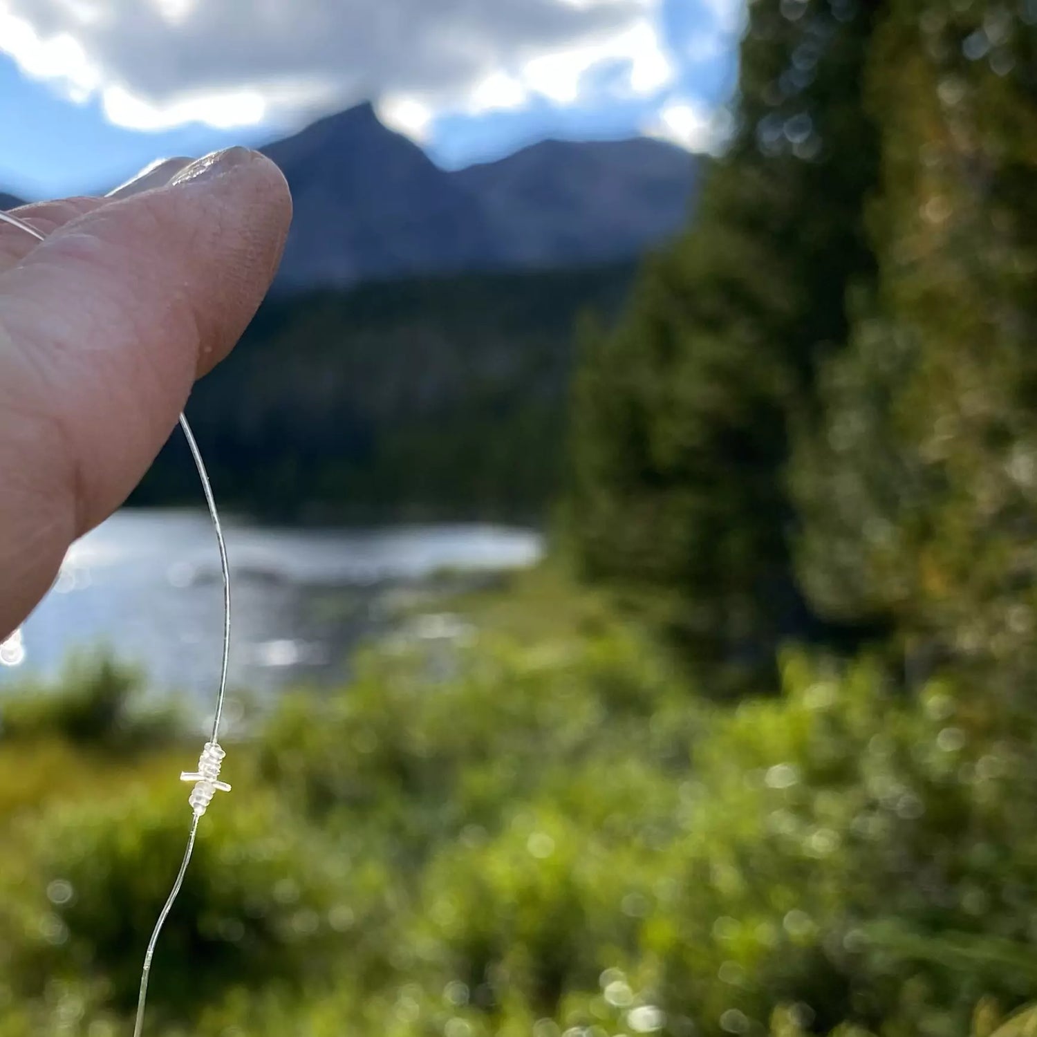 Fly Fishing Tippet with a Blood Knot Up Close