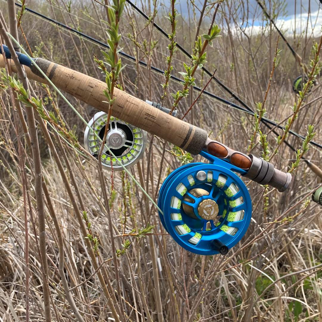 Fly Rods Hanging In the Wllows