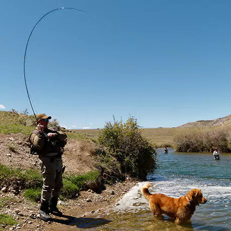 Fly Rod by Montana Casting Co. with a Fish On and Dog in the River