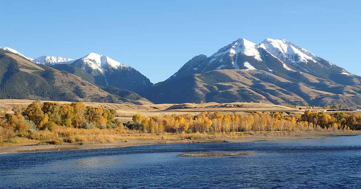 Montana Casting Co Premium Micro Swivels for Fly Fishing Montana