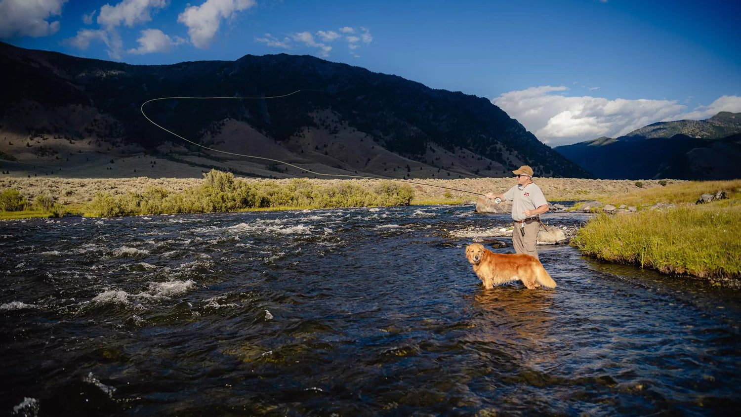 Fly Fishing the Madison River with a Dog